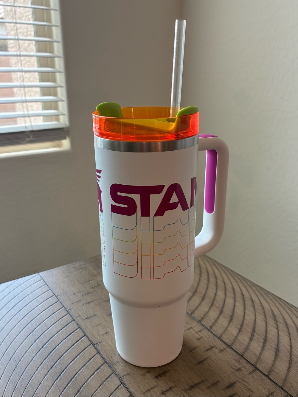 Limited Edition Stanley Quencher 30oz Frost Reverb Tumbler (retro)